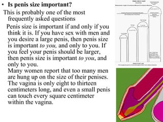 Can A Penis Be Too Big For A Vagina